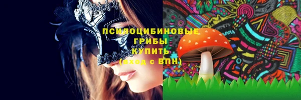 стаф Абинск