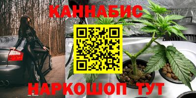 дмт Свободный