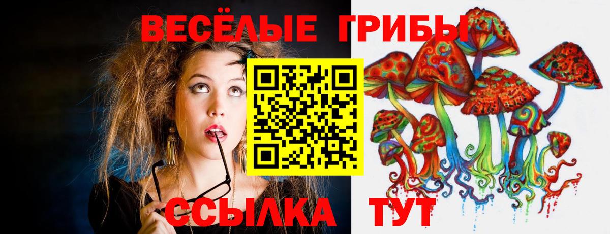 как найти закладки  Вход с VPN  Моршанск  Галлюциногенные грибы мухоморы 
